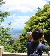 l9ZefmoHOo7fKVKp8Oxf.jpg?w=940&h=940