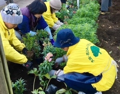 花壇活動(ボランティア)