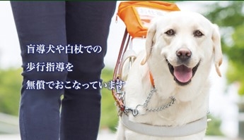 lBnDFAelFt0nTiSNDkP2.jpg?w=940&h=940