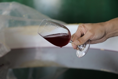 lBp2fK9rlG3CtDol9RV0.jpg?w=940&h=940