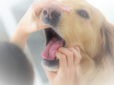 lCEzdYugQwwQBKFydNyM.jpeg?w=940&h=940