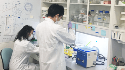 lEMj8yrl1WbFoTfUpiOU.png?w=940&h=940