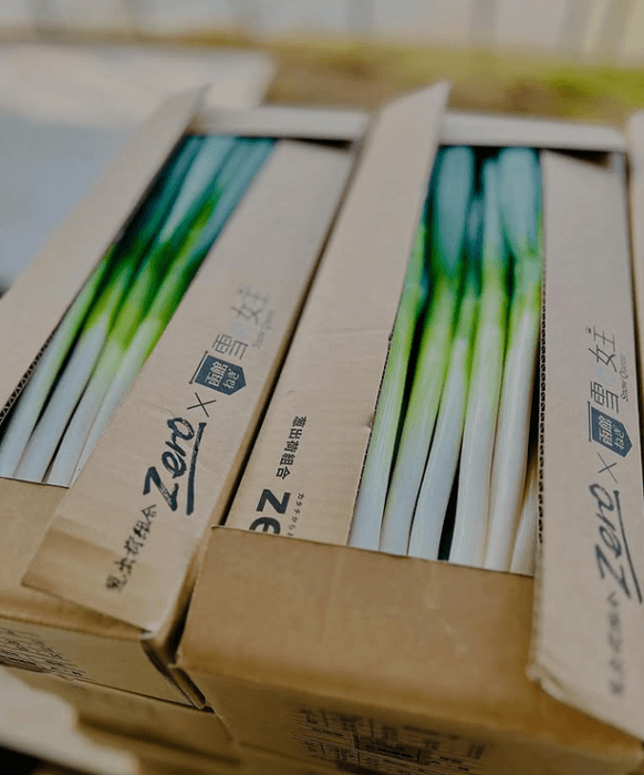 箱詰めされた新鮮な「雪の女王」