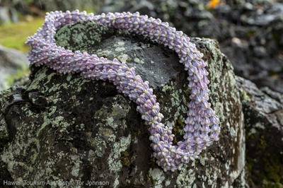 lFte8zr6n5YWC5fO978t.jpg?w=940&h=940