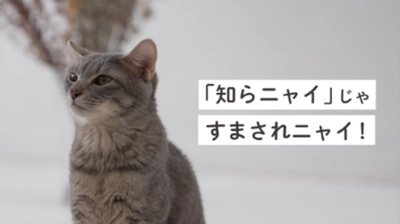 ～九都県市連携企画～　 事業者への「プラスチックごみの分別啓発」を共同で行います