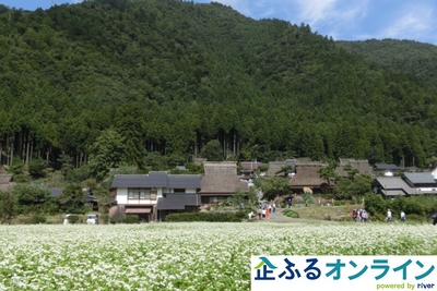 lGdqoFOr1nEktOrTNfBs.jpg?w=940&h=940