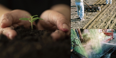 lGsNcuK2yDo0Vi0uCna4.jpg?w=940&h=940