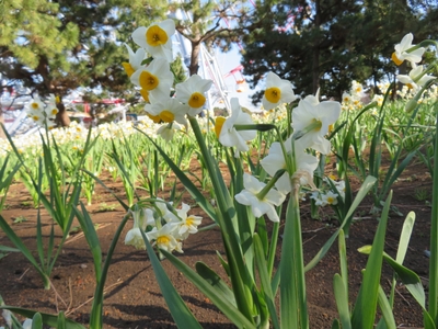 lHNUfgTLcyj6V4ZAnvhU.jpg?w=940&h=940