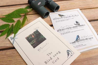 lHco26YgaNiuTFMBxsyy.jpg?w=940&h=940