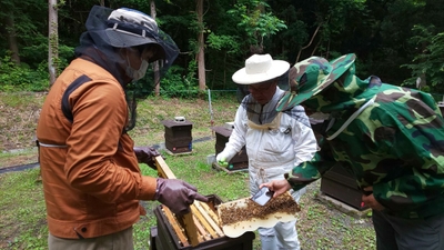 lKCC3ivLHleyyZ9TNle3.jpg?w=940&h=940