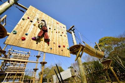 lKS7Fqmaf6yLdyadHu0Z.jpg?w=940&h=940