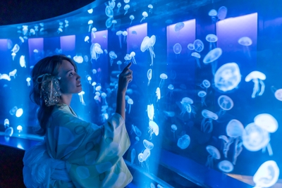 lKWS60QMzLNsyTd7OnbO.jpg?w=940&h=940