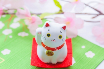 lMYEeCAsBioherkb9XmK.jpg?w=940&h=940