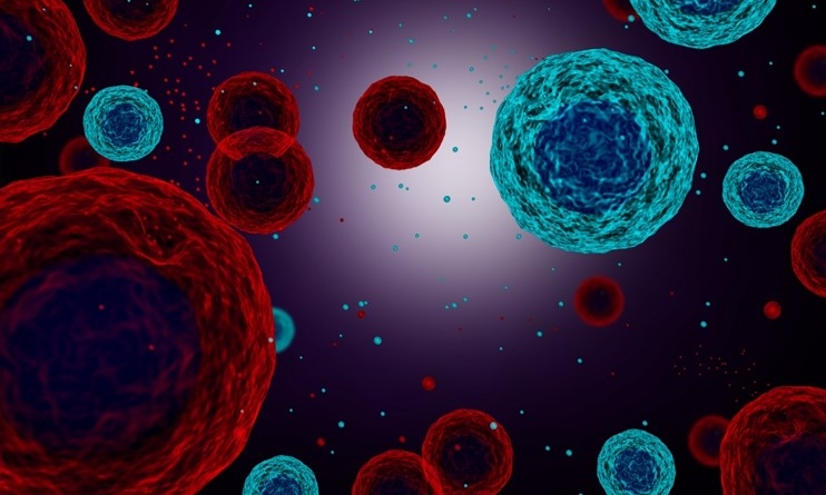 尿中エクソソームを用いて膀胱がんを診断する新たな検査法を確立 患者負担の少ない、膀胱がんの早期診断が可能に