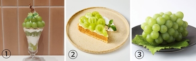 ①マスカット・オブ・アレキサンドリアの贅沢パフェ 2,290円 （みのる食堂銀座）②マスカット・オブ・アレキサンドリアタルト1,529円 （みのるダイニング岡山）③マスカット・オブ・アレキサンドリア