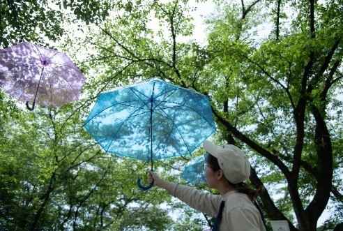 晴れの日_光にかざす