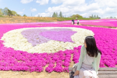 lPsHYCDUgFfXyQkXASil.jpg?w=940&h=940