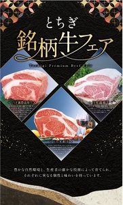 lS9Cf6Wo6r09gnqLaWv9.jpeg?w=940&h=940