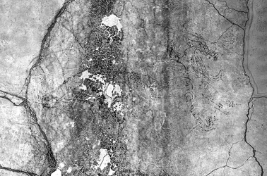 20年越しの赤外線撮影―キトラ古墳壁画　東壁青龍の全身像を求めて