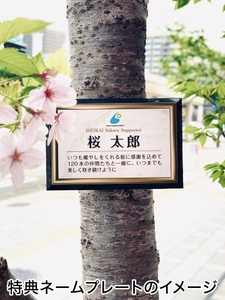 lXIkYbIZMSczxLYj8tum.jpg?w=940&h=940