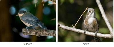 lXVnjh3ti2I13hzPm21R.png?w=940&h=940