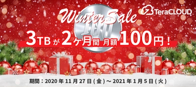 🎄写真や動画をバックアップするなら今が超お得！🎄