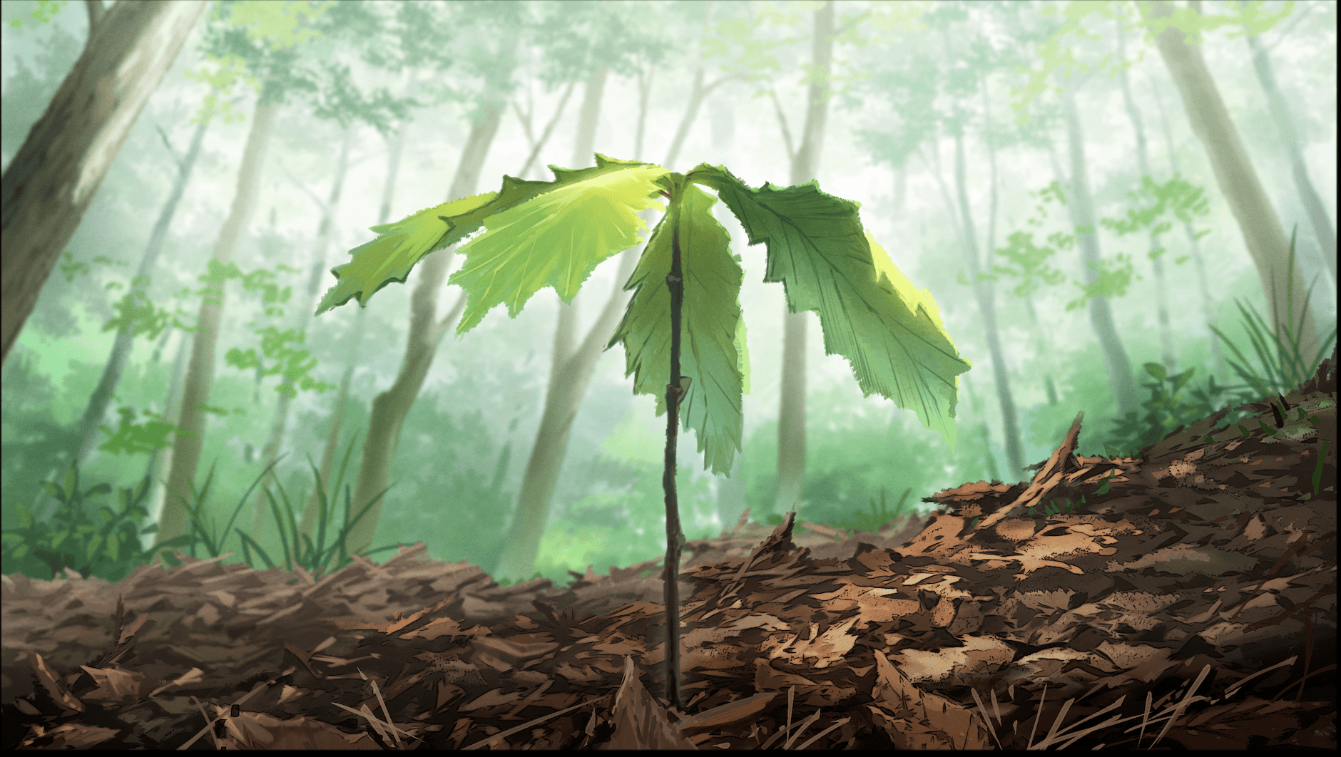 アニメ参考画:未来に成長するコナラ