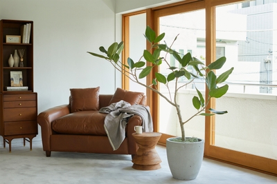 lZcOR0Bpm4MzPitx9h4h.jpg?w=940&h=940