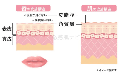 la1gQH3u5yAiwh8PUfOs.png?w=940&h=940