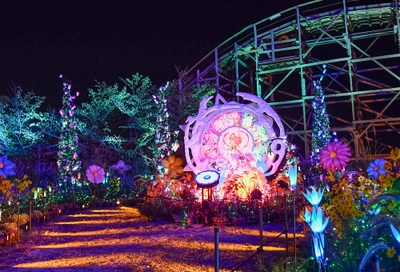 30thノームのフラワーガーデン ※画像は過去の様子です。 本年度のデザインとは一部異なります。