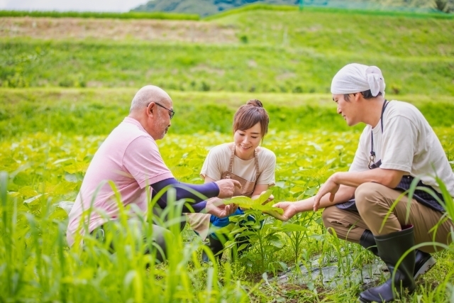 農福連携で6次産業化マーケティング