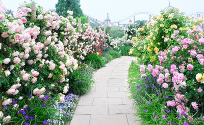 ldZWcXSMkt3WiOuYLT1f.jpg?w=940&h=940