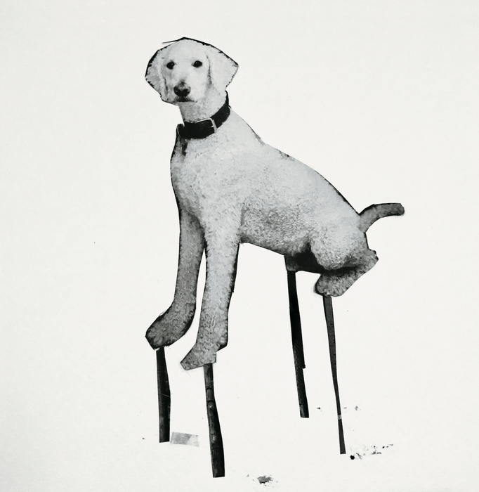 Drawing paper,Printing paper 2019