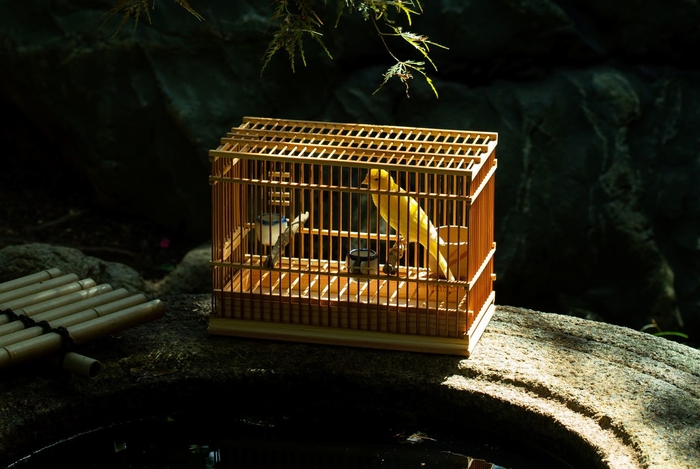 齋藤屋イメージカット1