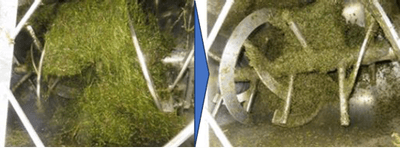 活性酸素水草処理　1時間処理後（右）