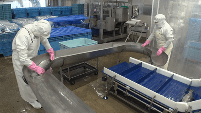 lkUyux1higfvxA2dRrFF.png?w=940&h=940