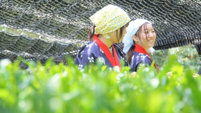 lkrU1F3Kb2FuVNFNDiwT.jpg?w=940&h=940