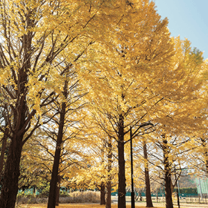 lmqe92toND8bnMxhpbQ5.png?w=940&h=940