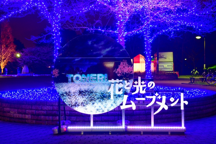 公園入口ライトアップの様子(4月4日テスト点灯時撮影)