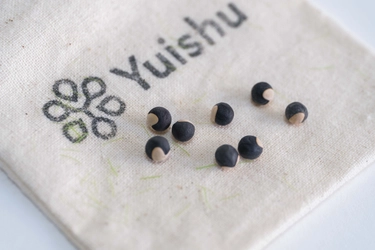 世界初！ペットのDNAを植物に宿し、喪失の痛みを癒す 新サービス『Yuishu(ゆいしゅ)』を4月24日に提供開始