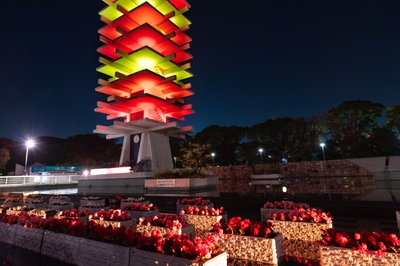 ～12/9 オリンピック記念塔ライトアップ
