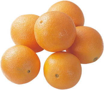 ls2HC6eeLtvtq4GMkFp7.png?w=940&h=940