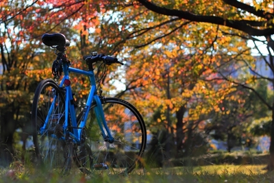 lsy2kiU9tiwjRVrZxzBn.jpg?w=940&h=940