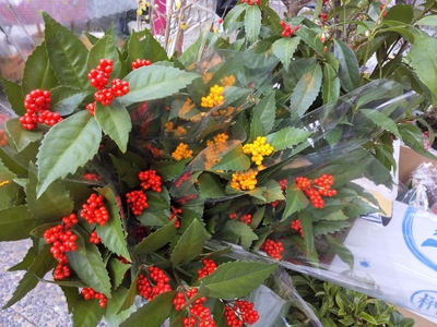 lt13eav0iln8RvKJSFfB.jpg?w=940&h=940