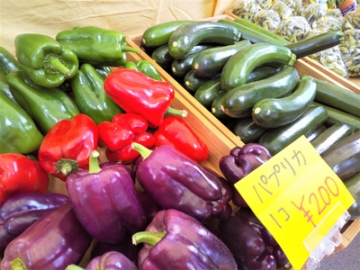 ltSPRplDNEOrIN1s93l8.jpg?w=940&h=940