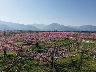 luI9WU6YwrPS3zvMEfKe.jpg?w=940&h=940