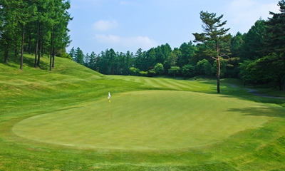 lv5rpFv6mbqZacjyeBHw.jpg?w=940&h=940