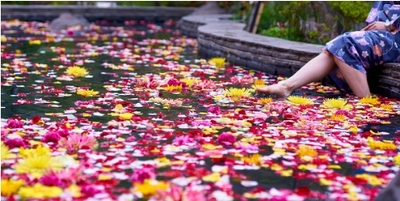 lvRbnXRQbhdJ2A0Zis9X.jpg?w=940&h=940