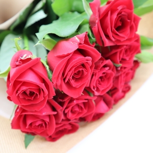 lvhBYiqsuLu28JyVR9GM.jpg?w=940&h=940