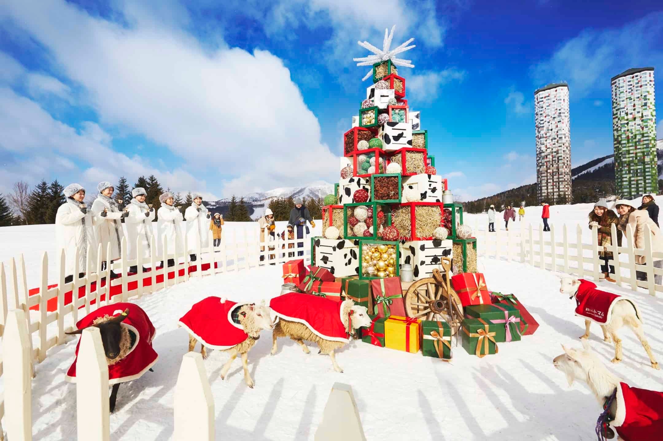 星野リゾート ~ファーム・ビーチ・ワイン・ラーメンなどバラエティに富んだクリスマスのおもてなし~星野リゾートのクリスマス2020 期間:2020年12月1日~12月25日